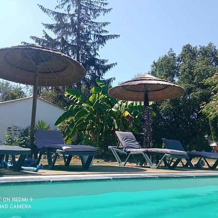 Mas Des Vignes Piscine Chauffee Bed and Breakfast Le Champ-Saint-Pere Exteriör bild