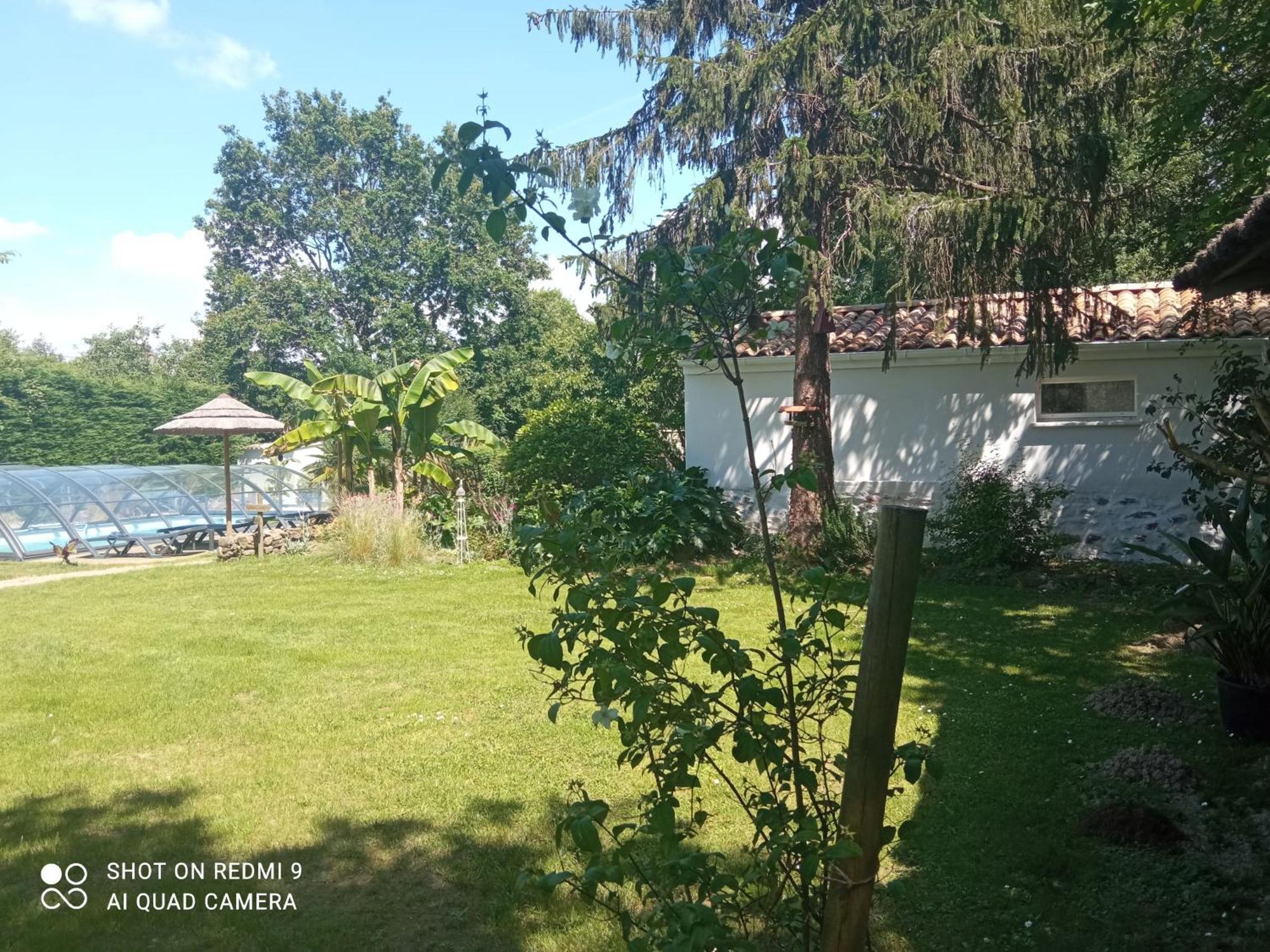 Mas Des Vignes Piscine Chauffee Bed and Breakfast Le Champ-Saint-Pere Exteriör bild