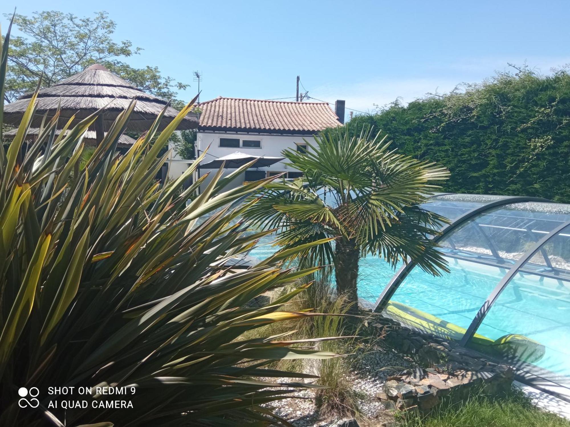 Mas Des Vignes Piscine Chauffee Bed and Breakfast Le Champ-Saint-Pere Exteriör bild